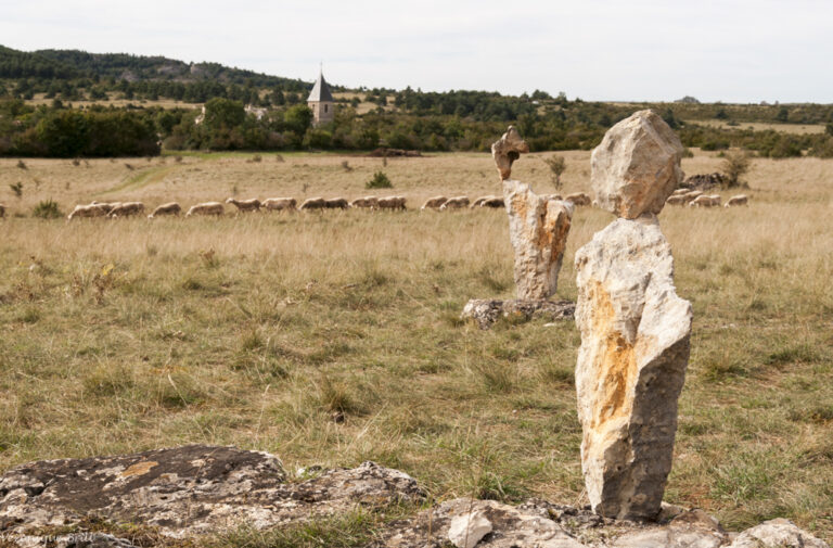 Larzac La relève